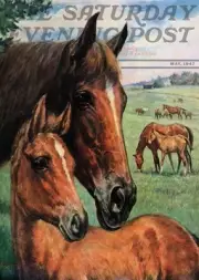 Horses (Sat. Even. Post) Garden Size (13" x 18" Approx) Flag TOL 119131