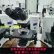 【嚴選特賣】Olympus奧林巴斯BX41生物偏光顯微鏡