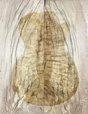 Figure Electric Guitar Top Spalted Ripple Maple Wood Stabilised Resin filling