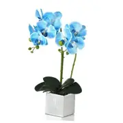Artificial Potted Orchid Faux Phalaenopsis Silk Flowers Bonsai A/Ceramic-blue