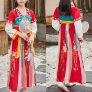 New Girl Chinese Sheer Dress Tang Suit Floral Embroidered Hanfu Ancient Costume