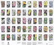29?Wildflowers Stamp Sheet of 50 Commemorative series Scott 2647-2696 by Stamps United States