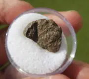 Super rare 2.51 gram - NWA 3133 (Only CV7 Ever) Achondrite-prim-ung METEORITE