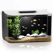 Betta Fish Tank, 2.5 Gallon Aquarium Kit with Filter, Light, Self Cleaning, O...