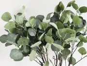 Eucalyptus Stem Silver dollar Gum Spray Faux Silk Greenery Foliage Flowers x 1