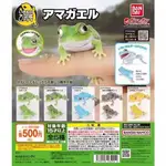 [BTF]現貨 BANDAI扭蛋 生物大圖鑑 日本樹蛙 雨蛙 青蛙 仿真動物 ZQ4C