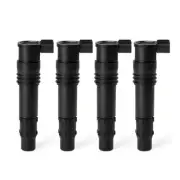 4pcs Ignition Coil 21171-1265 Fits For Kawasaki NINJA 1000 ZX1000 ER-6N