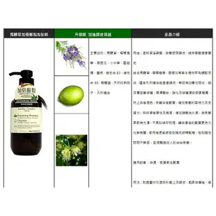 AmmaGarden艾瑪花園 植物系列洗髮精500ml【金興發】