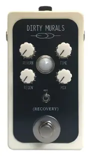 RECOVERY EFFECTS DIRTY MURALS V3 DELAY ECHO REVERB PEDAL EFFECT