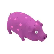 Paws & Claws 21cm Oinky Pig Latex Cat/Dog/Pet Interactive Chew Toy Assorted