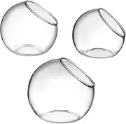 Kisangel 3pcs Glass Moss Bottle Succulents Globe Terrarium Globe Air Plant Planter Globe Fishing Net Decor Air Plant Terrarium Planter Terrariums Terrarium Bowl Moss Plant Vases Transparent