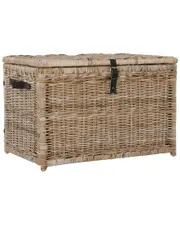 Happimess Michael 35in Wicker Storage Trunk