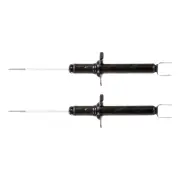 Rear Monroe OE Spectrum Shock Absorbers for Honda Accord CP2 CP3 Accord Euro CU2