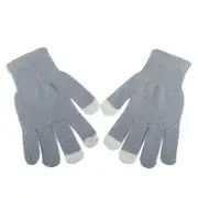 2 Pair Gloves Winter Warmer Washable Touch Screen Mittens LIGHTGRAY COLOR