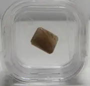 GEM COLLECTOR 5.40ct Rutile Quartz (N)