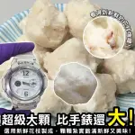 【滿777免運-海肉管家】澎湖老師傅手作特大花枝丸(1包/每包300G±10%約7~8顆)