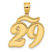 14k Yellow Gold Brushed Border Script Number 29 Pendant