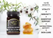 Manuka UMF 10+ (MGO 261) 100% Pure New Zealand Honey 1.1 lb (500g)