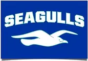 Desert Cactus Brighton & Hove Albion Poster BHAFC Seagulls Football Club Soccer 11 inches by 17 inches Decoration Room Official Fan Gear (11x17) (Design D, Paper)