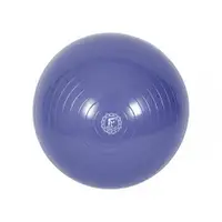 在飛比找誠品線上優惠-【Fun Sport】歐力斯體適能健身球(55cm)-紫色-
