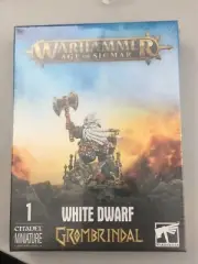 Warhammer Dwarfs Lord Grombrindal The White Dwarf BRAND NEW Dwarven Dwarves OOP