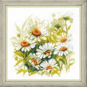 Riolis 1765 Chamomile Embroidery Counted
