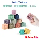 BABY TO LOVE 寶寶的第一組益智積木組／十二入