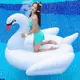 【DD460】大天鵝游泳圈 造型游泳圈 兒童泳圈 浮板 充氣白天鵝 坐騎 (9折)