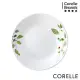 【美國康寧 CORELLE】綠野微風6吋平盤 (106)