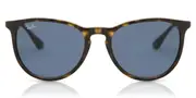 Ray-Ban Sunglasses RB4171 Erika 639080