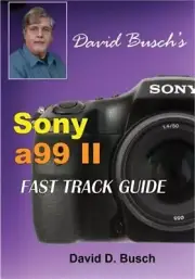 David Busch's Sony Alpha A99 II Fast Track Guide (Paperback or Softback)