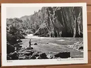 POSTCARD COLORADO, BLACK CANYON OF THE GUNNISON- FISHING ON GUNNISON RIVER REPRO