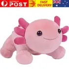 Cartoon Salamander Doll Axolotl Plush Toy Gift Stuffed Animal Pillow Toy Doll AU