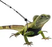 Toddmomy 3 Pack Lizard Harness Traction Cable Reptile Harness for Small Animals Sturdy Comfortable No Wings