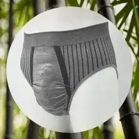 在飛比找momo購物網優惠-【三合豐 ELF】男性竹炭三角內褲-2件(MIT 灰色)