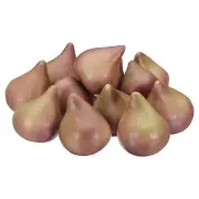 12 Pcs Artificial Figs, Foam Fake Fruit Model Figs