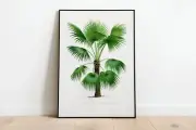 Vintage Palm Tree Illustration Wall Art Print Poster A3 A4 A5 High Quality