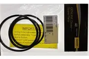 Davey Promaster Variable - Pump Lid Oring