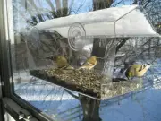Window Bird Feeder Reflective Mirror Film UV Home Heat Insulation 12"X1'