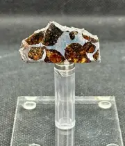 RARE PALLASOVKA METEORITE PALLASITE PARTIAL SLICE 5,96 g