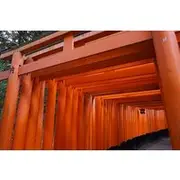 Save 19.99%! Kyoto Walking Tour at Fushimi Inari Shrine and Tofukuji Temple