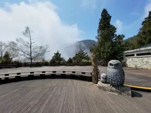 宜蘭[共乘]一日遊|太平山國家公園森呼吸輕旅|太平山莊∙見晴懷古步道∙鳩之澤溫泉∙北車出發 | 可宜蘭及太平山莊上車/解散 |