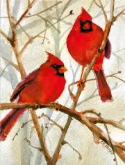 BEAUTIFUL! BIRD LOVERS! CARDINALS PEACE AND JOY HOLIDAY CARD by GALISON (8)