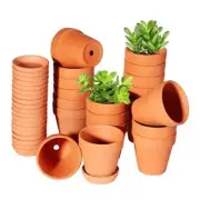 3 Inch Terracotta Pots with Saucer-20 Pack，Cactus Terra Cotta Flower Pots with