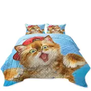 Cool Cats Boy Ginger Kitten Wearing a Cap Hat Coverlet