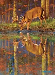 SunsOut What Lies Below? 1000 Piece Jigsaw Puzzle By Dallen Lambson