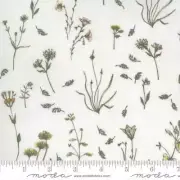 Botanicals 16911-11 Moda Fabrics Wild Flowers In Parchment Janet Clare