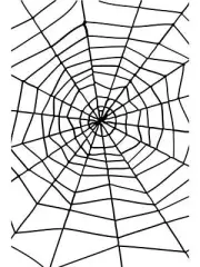 Black Spiders Web with Spider Smiffys Halloween Fancy Dress Decoration