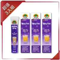 在飛比找momo購物網優惠-【SUNLIFE森萊富】德國原裝 鎂Mg+B6維他命發泡錠(