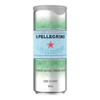 在飛比找蝦皮購物優惠-San Pellegrino 聖沛黎洛 天然氣泡礦泉水 33